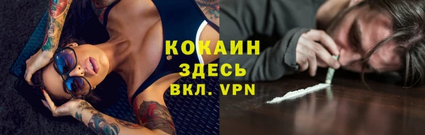 сатива Абаза
