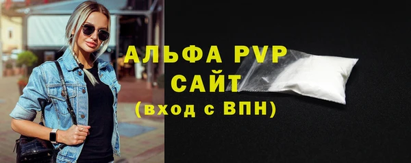 крисы Сатка