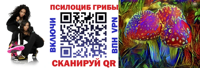 Галлюциногенные грибы Cubensis  закладки  Инта 